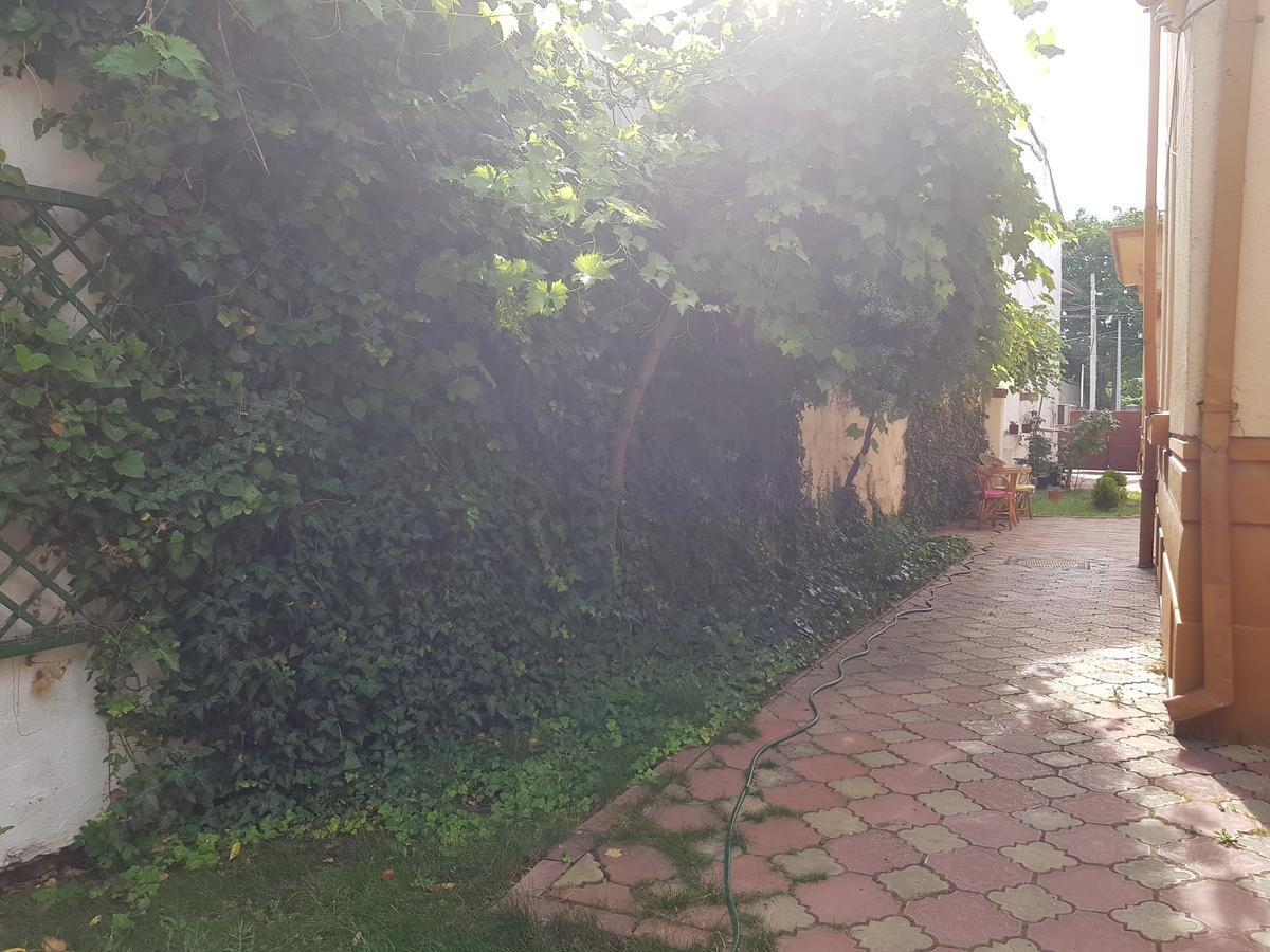 Casa Boiereasca Vandrerhjem Craiova Eksteriør bilde